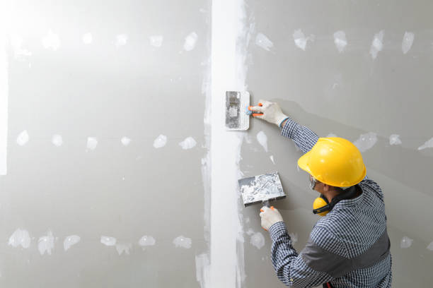 Best Drywall Removal and Disposal  in Dunkirk, NY